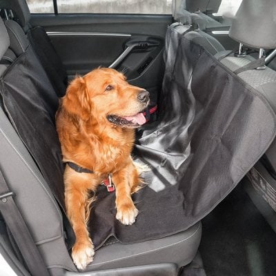 Bilskydd för djur hund 1