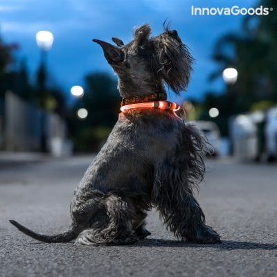 LED-halsband för husdjur