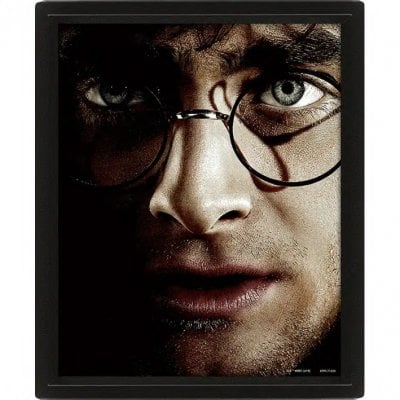 Harry Potter vs Voldemort - 3D poster med ram