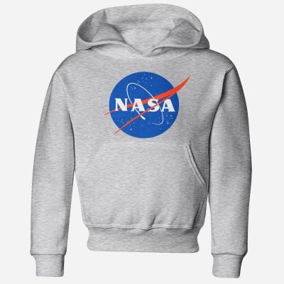 NASA insignia barn hoodie 2